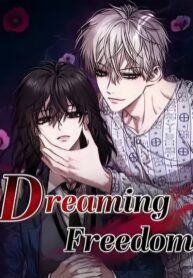 quality_restoration_20260315155813654